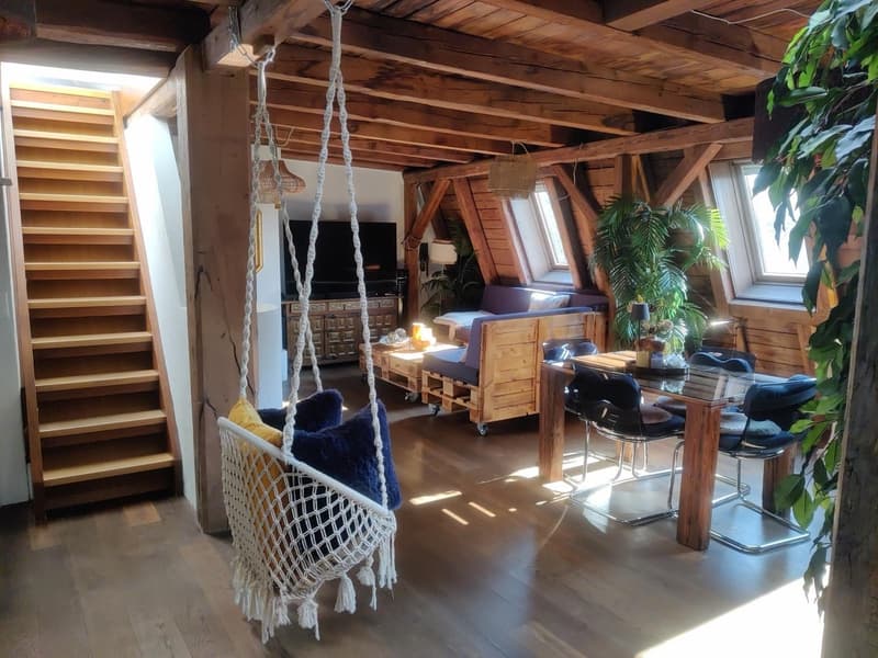 WG-Zimmer in grosser Rooftop-Wohnung, zentrale Lage (befristet 2 bis 3 Monate) (10)