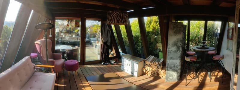 WG-Zimmer in grosser Rooftop-Wohnung, zentrale Lage (befristet 2 bis 3 Monate) (11)