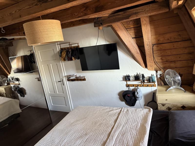 WG-Zimmer in grosser Rooftop-Wohnung, zentrale Lage (befristet 2 bis 3 Monate) (3)