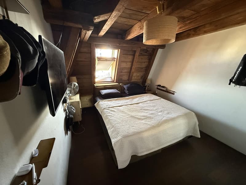 WG-Zimmer in grosser Rooftop-Wohnung, zentrale Lage (befristet 2 bis 3 Monate) (1)