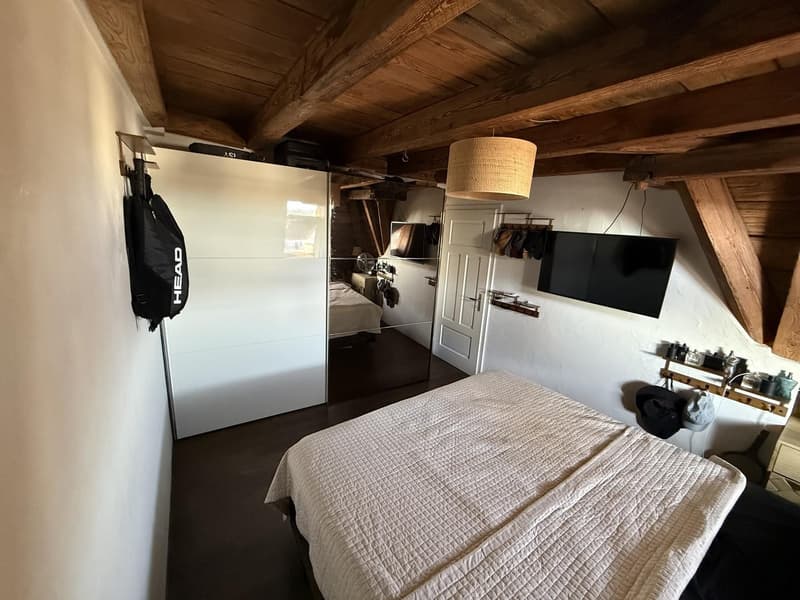 WG-Zimmer in grosser Rooftop-Wohnung, zentrale Lage (befristet 2 bis 3 Monate) (2)