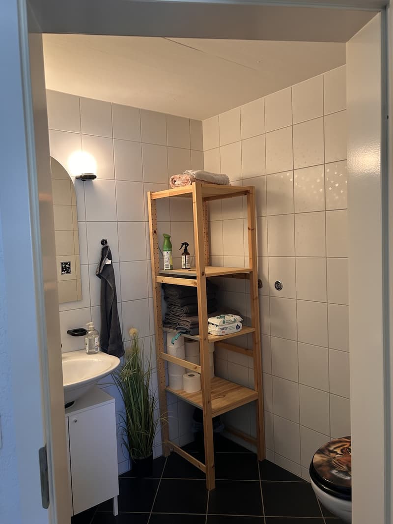 4,5 Zimmer Wohnung mit Grosser Galerie (3)