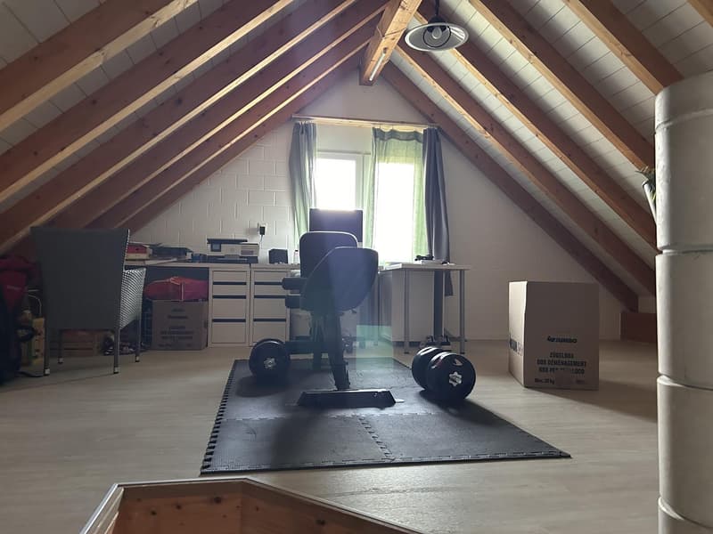 4,5 Zimmer Wohnung mit Grosser Galerie (6)