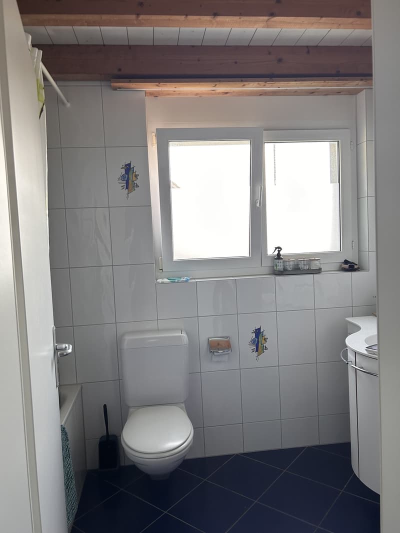 4,5 Zimmer Wohnung mit Grosser Galerie (4)