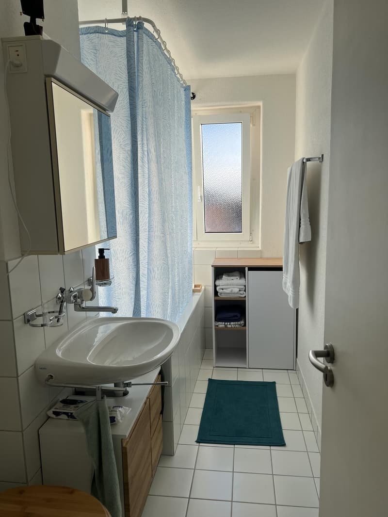 Sehr helle Wohnung mit Blick auf Uetliberg (6)