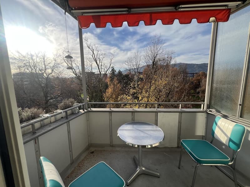Sehr helle Wohnung mit Blick auf Uetliberg (2)