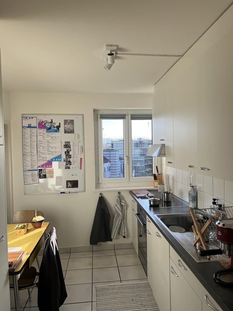 Sehr helle Wohnung mit Blick auf Uetliberg (3)