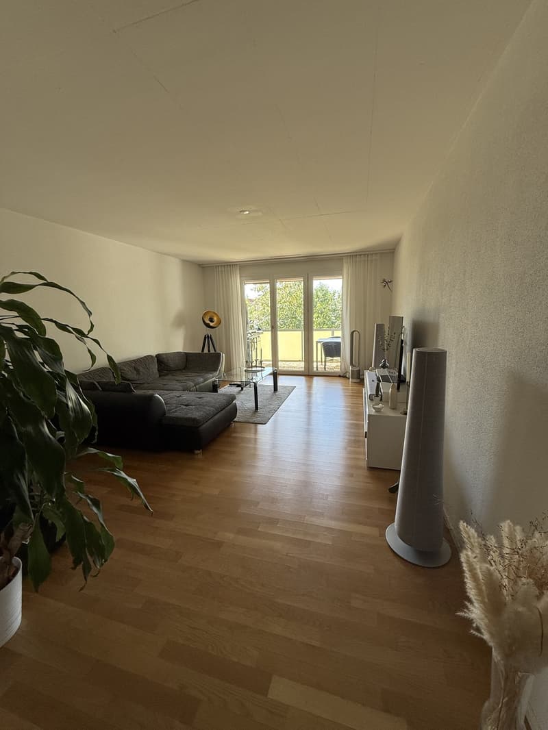 Beautiful & spacious 2.5 room apartment in Dübendorf (1)