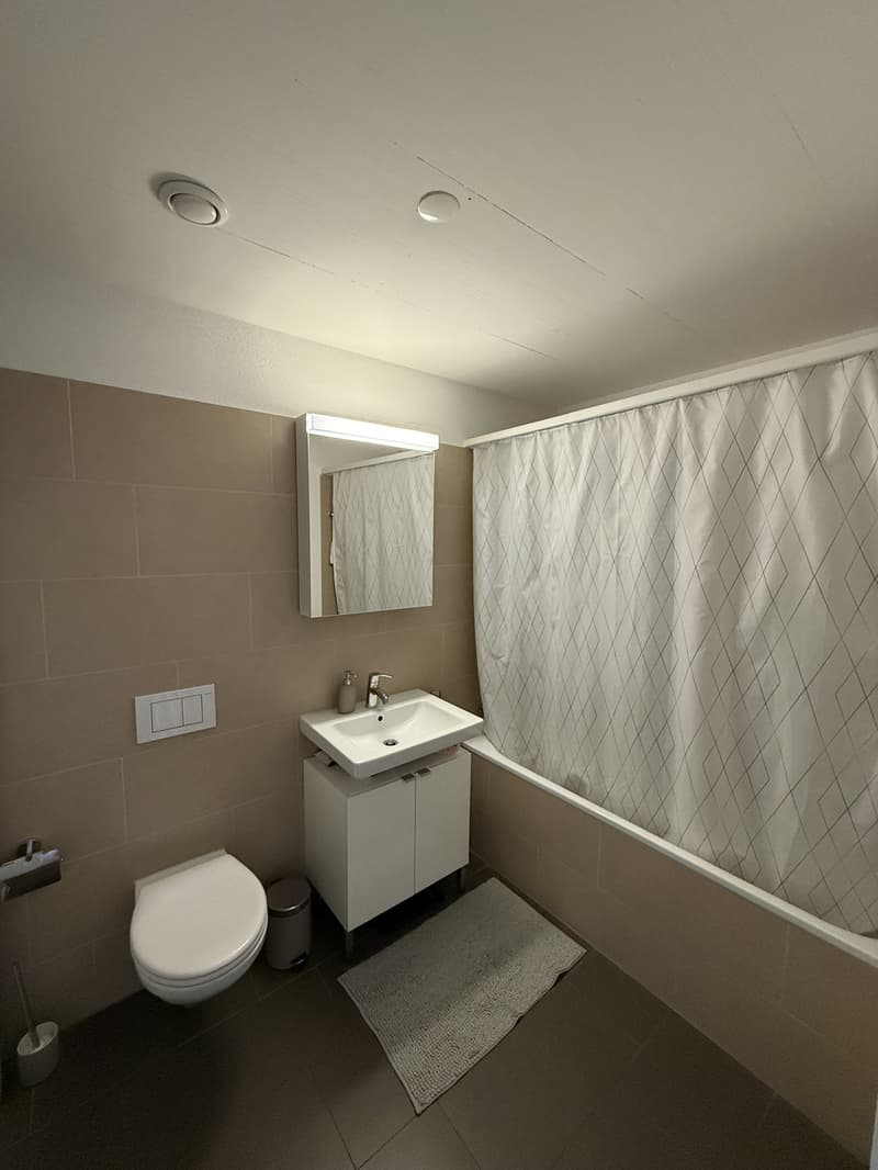 Beautiful & spacious 2.5 room apartment in Dübendorf (6)