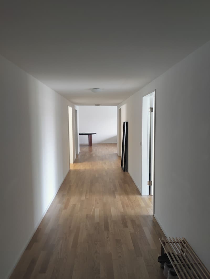 Möbliertes Zimmer in geräumiger 130m²-Wohnung, 5 Minuten von Oerlikon-Bahnhof, CHF 1,600 inklusive (12)
