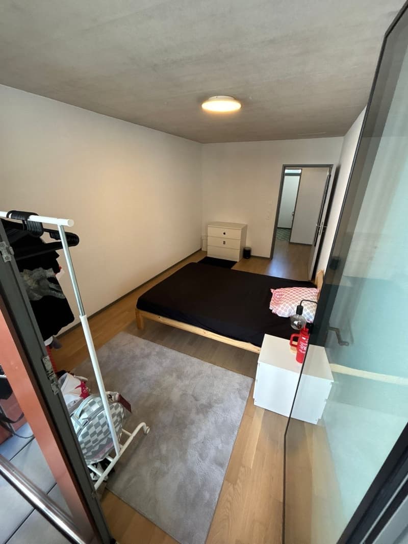 Private Room with En-suite Bathroom in a Spacious Apartment Dübendorf (Zurich) (4)