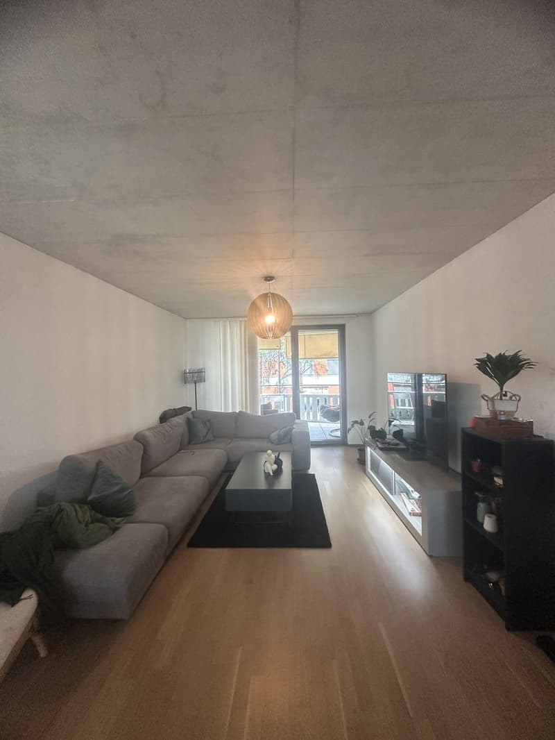 Private Room with En-suite Bathroom in a Spacious Apartment Dübendorf (Zurich) (5)