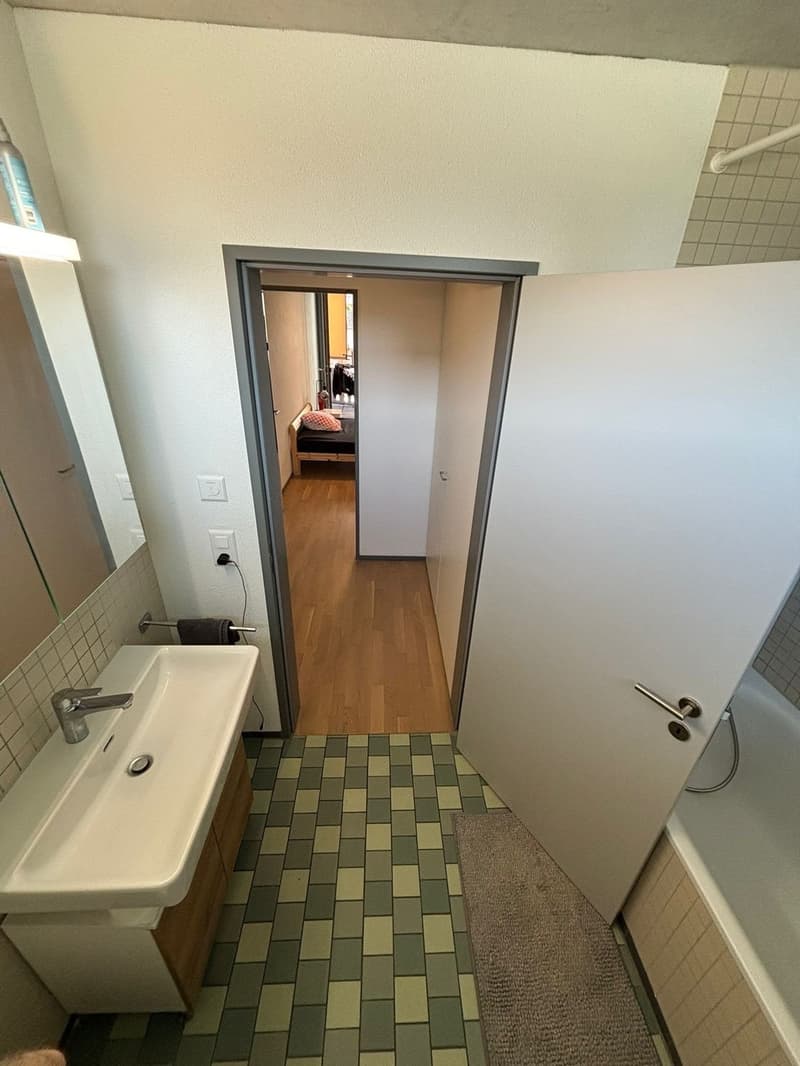 Private Room with En-suite Bathroom in a Spacious Apartment Dübendorf (Zurich) (12)