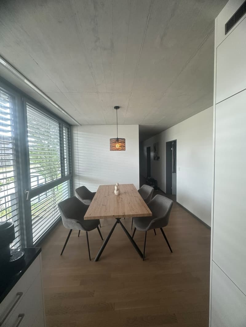 Private Room with En-suite Bathroom in a Spacious Apartment Dübendorf (Zurich) (3)