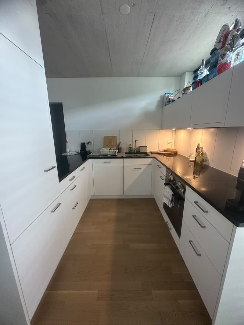Private Room with En-suite Bathroom in a Spacious Apartment Dübendorf (Zurich) (8)