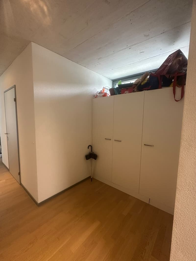 Private Room with En-suite Bathroom in a Spacious Apartment Dübendorf (Zurich) (10)