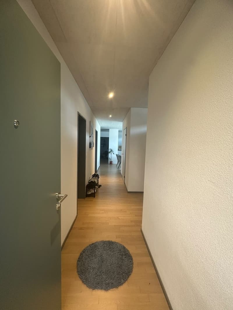 Private Room with En-suite Bathroom in a Spacious Apartment Dübendorf (Zurich) (9)