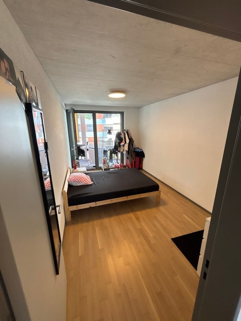Private Room with En-suite Bathroom in a Spacious Apartment Dübendorf (Zurich) (1)