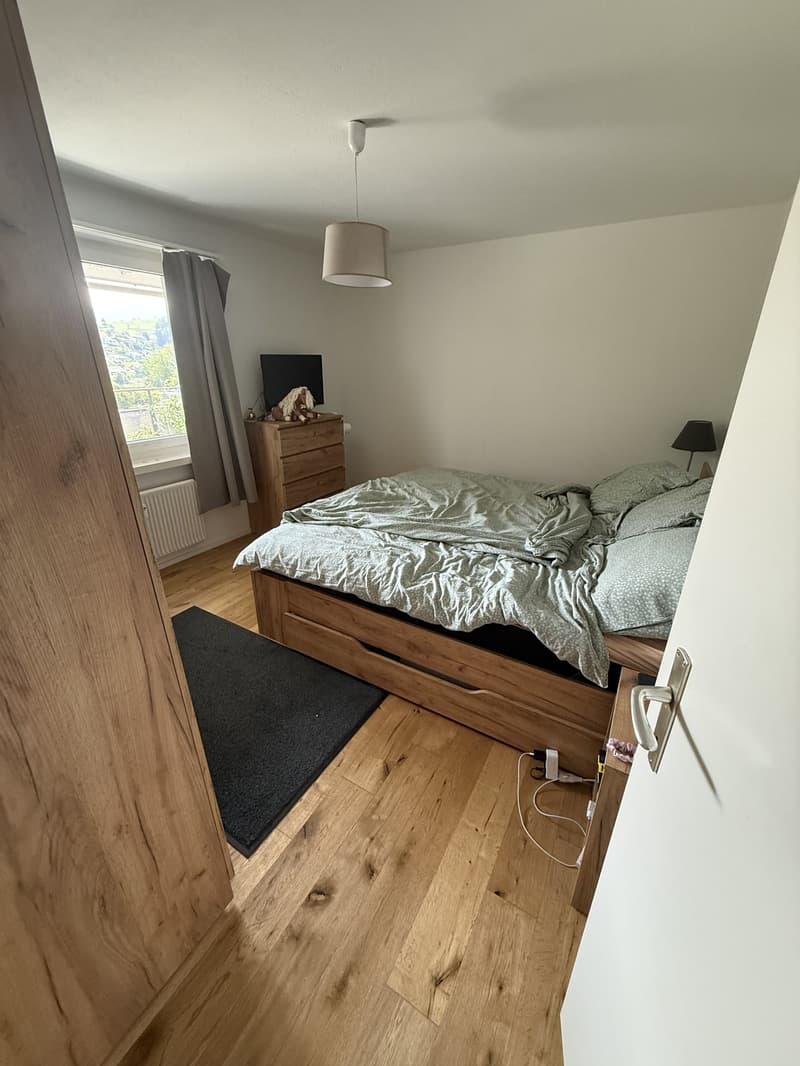 Dreamy 3.5-room apartment in Horw - Subtenant sought (2)