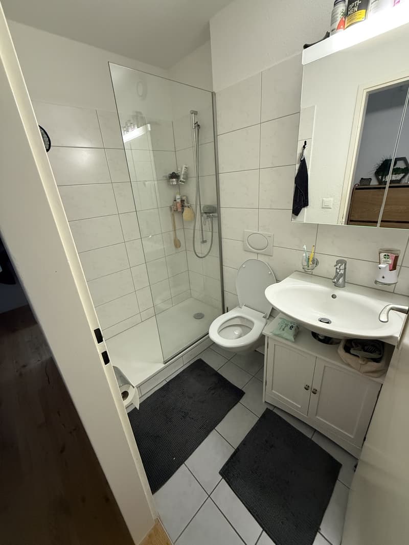 Dreamy 3.5-room apartment in Horw - Subtenant sought (3)