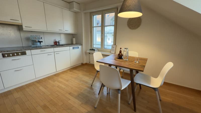 Ampio appartamento in mansarda (senza balcone) (6)