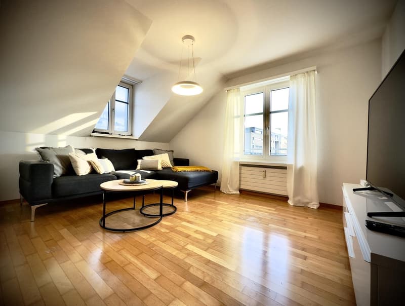 Ampio appartamento in mansarda (senza balcone) (7)