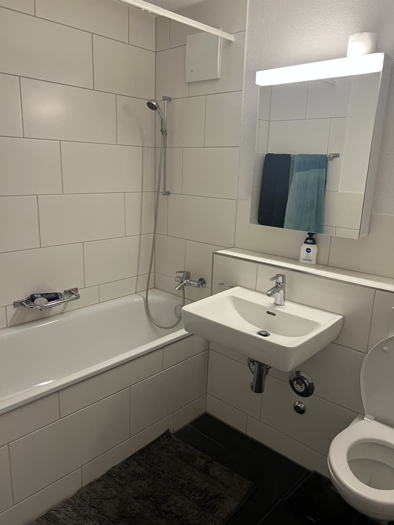 Appartement 3.5 pièces avec place de parking en sous-sol (6)