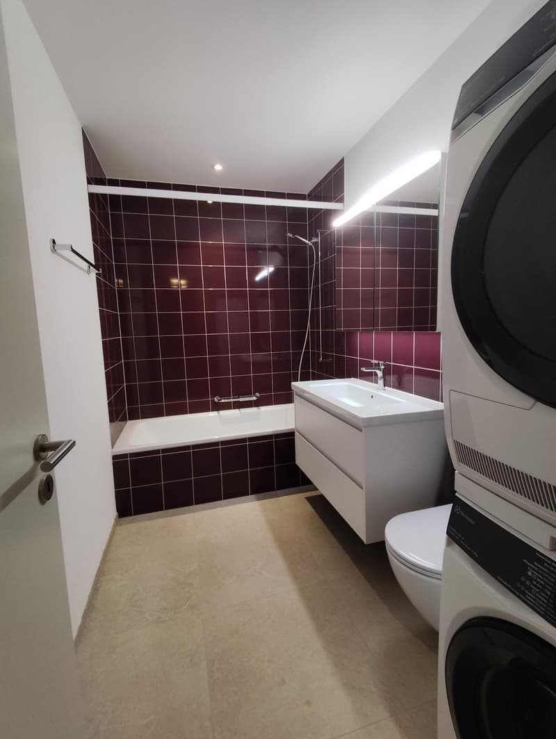 Geräumige 4.5-Zimmer-Wohnung (84 m²) zu vermieten (8)