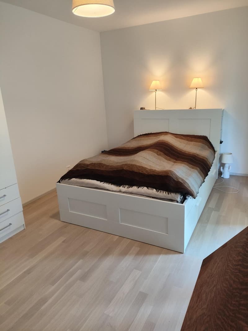 Geräumige 4.5-Zimmer-Wohnung (84 m²) zu vermieten (6)