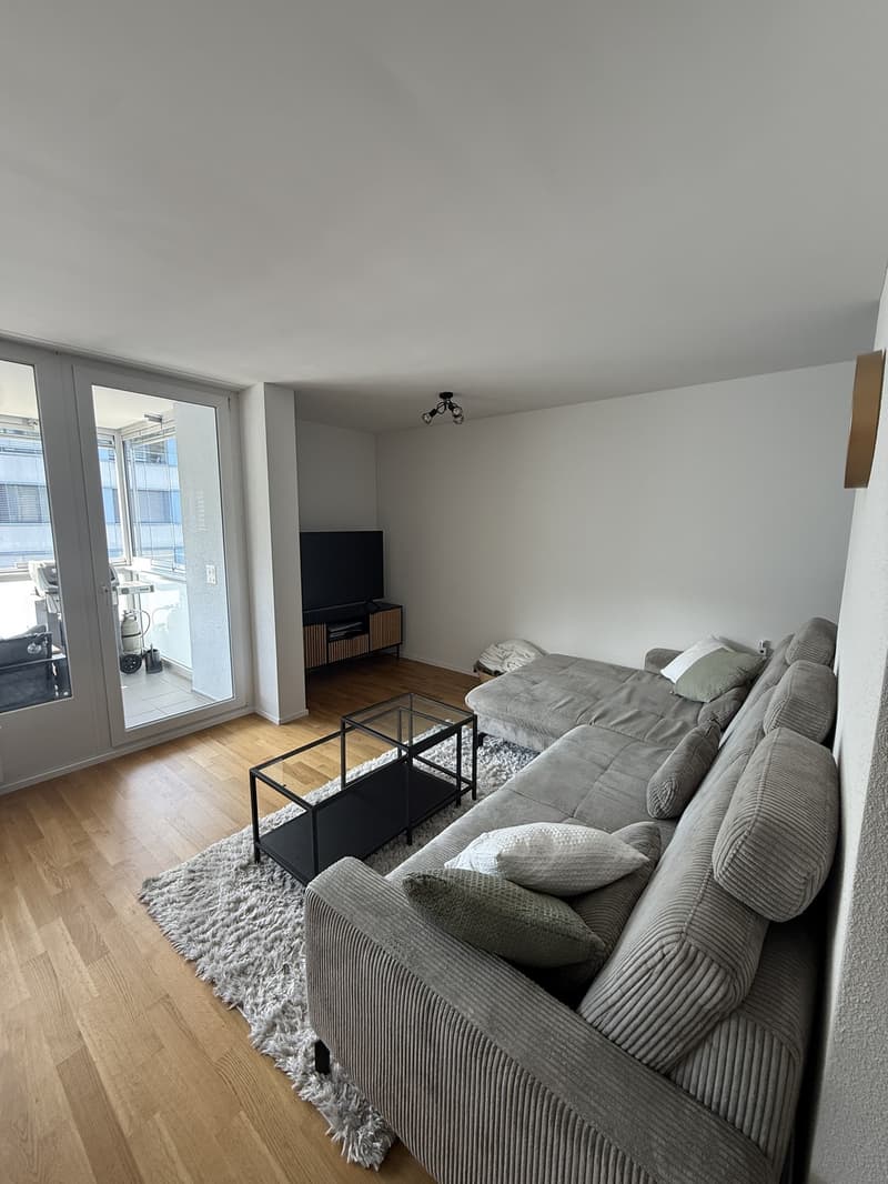 Bright 4.5 room apartment for rent in Kriens (2)