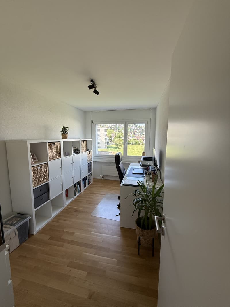 Bright 4.5 room apartment for rent in Kriens (7)