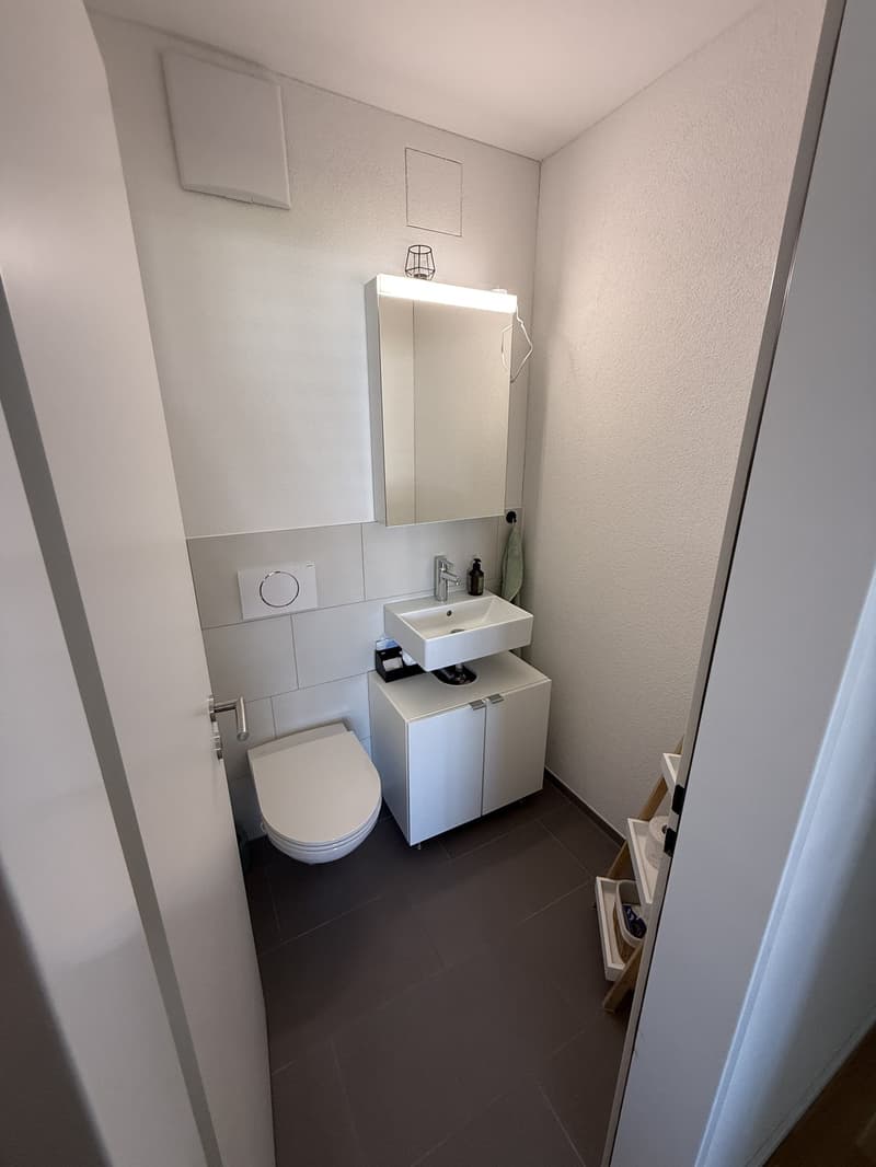 Bright 4.5 room apartment for rent in Kriens (10)