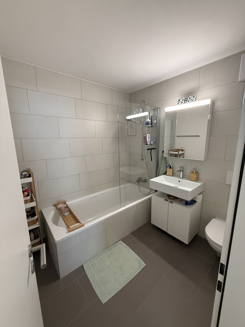 Bright 4.5 room apartment for rent in Kriens (9)