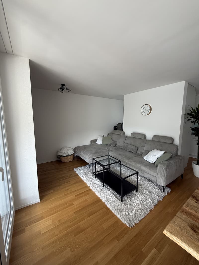 Bright 4.5 room apartment for rent in Kriens (1)