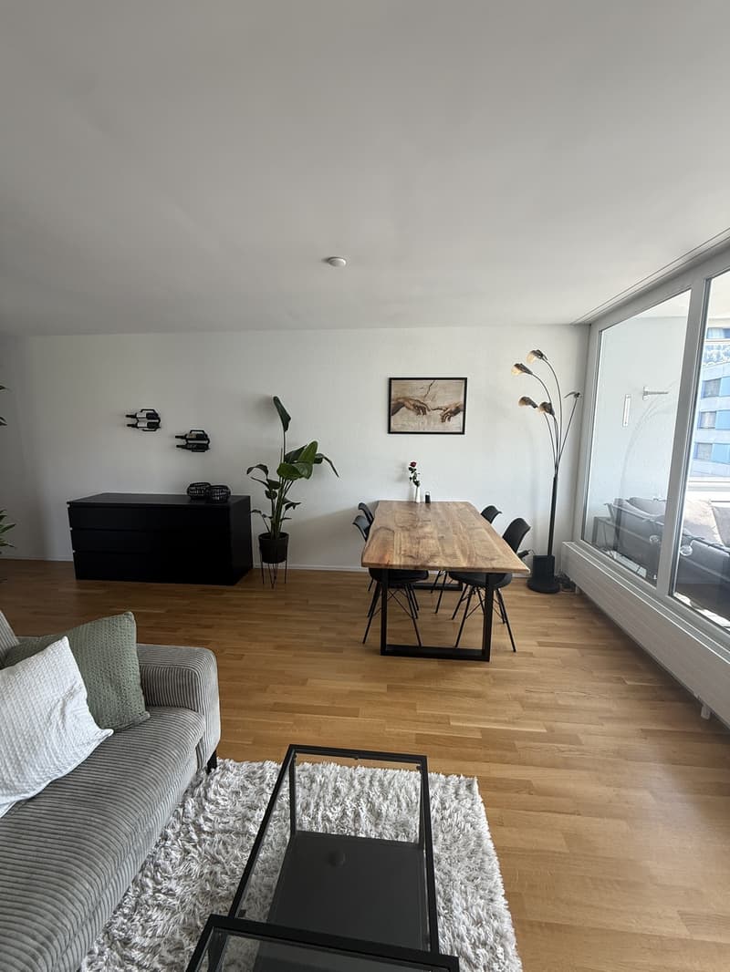Bright 4.5 room apartment for rent in Kriens (3)