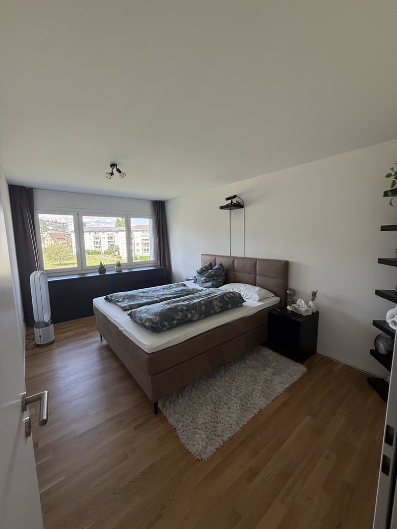 Bright 4.5 room apartment for rent in Kriens (6)