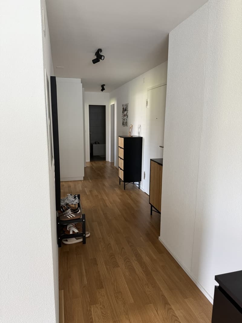 Bright 4.5 room apartment for rent in Kriens (11)