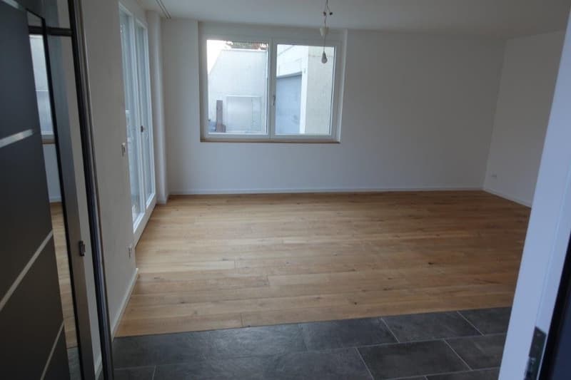 Modern living on the south slope in Wiesendangen (5)