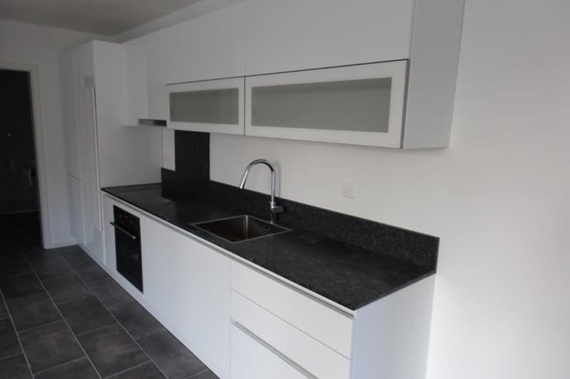 Modern living on the south slope in Wiesendangen (3)