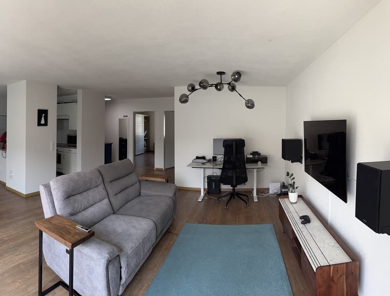 Helle 3.5-Zimmer-Wohnung (1)