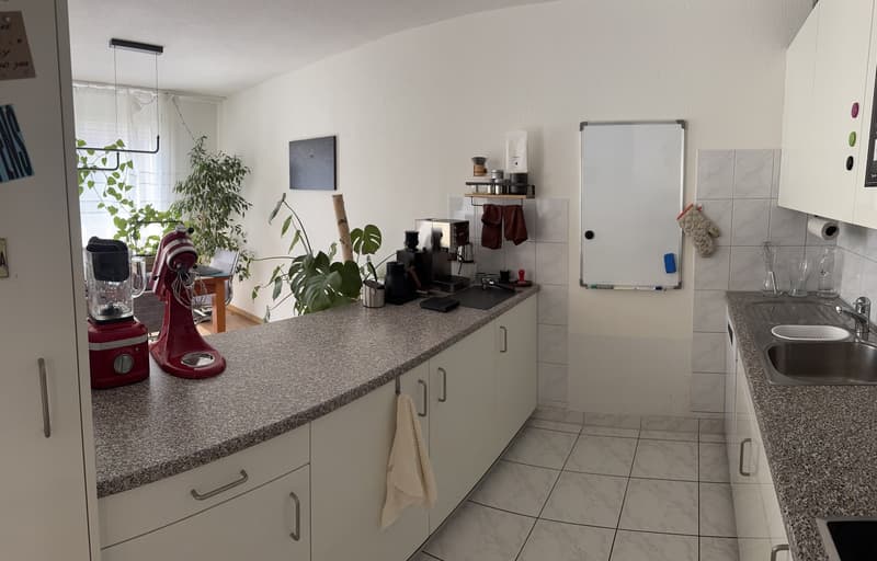 Helle 3.5-Zimmer-Wohnung (6)