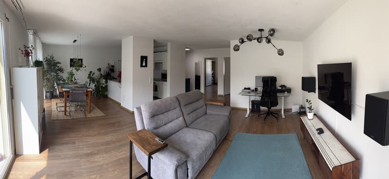 Helle 3.5-Zimmer-Wohnung (2)