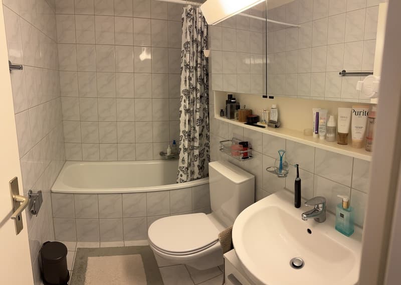 Helle 3.5-Zimmer-Wohnung (8)