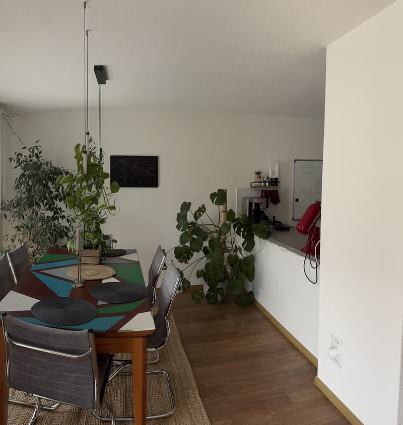 Helle 3.5-Zimmer-Wohnung (4)