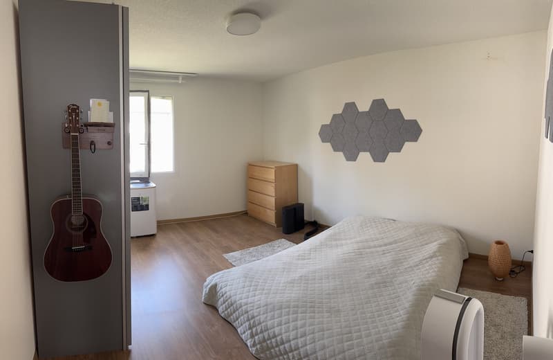 Helle 3.5-Zimmer-Wohnung (9)