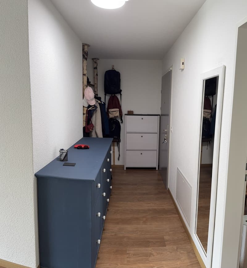 Helle 3.5-Zimmer-Wohnung (13)