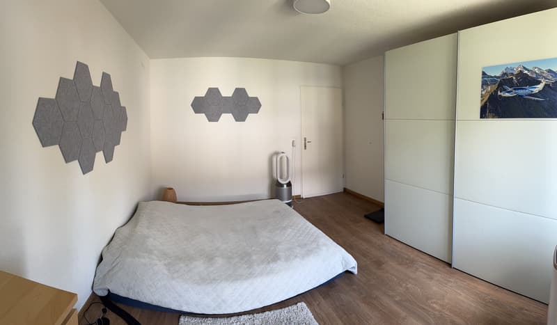 Helle 3.5-Zimmer-Wohnung (10)