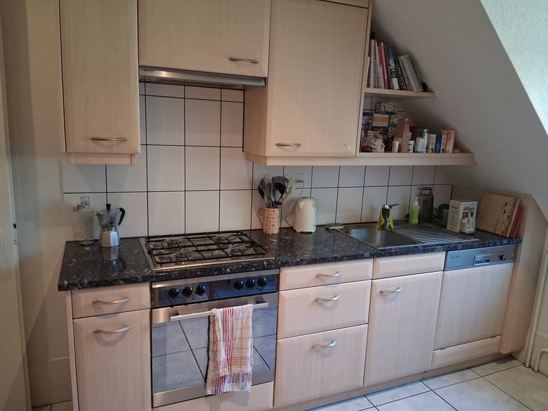 Bright 3-room apartment in Länggasse (6)