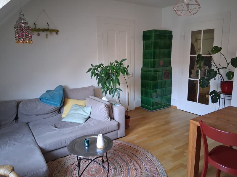 Bright 3-room apartment in Länggasse (2)