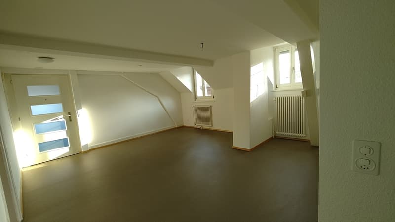Wohn-Esszimmer